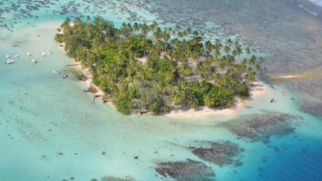 Pension Hibiscus Tahaa Uturoa Kültér fotó